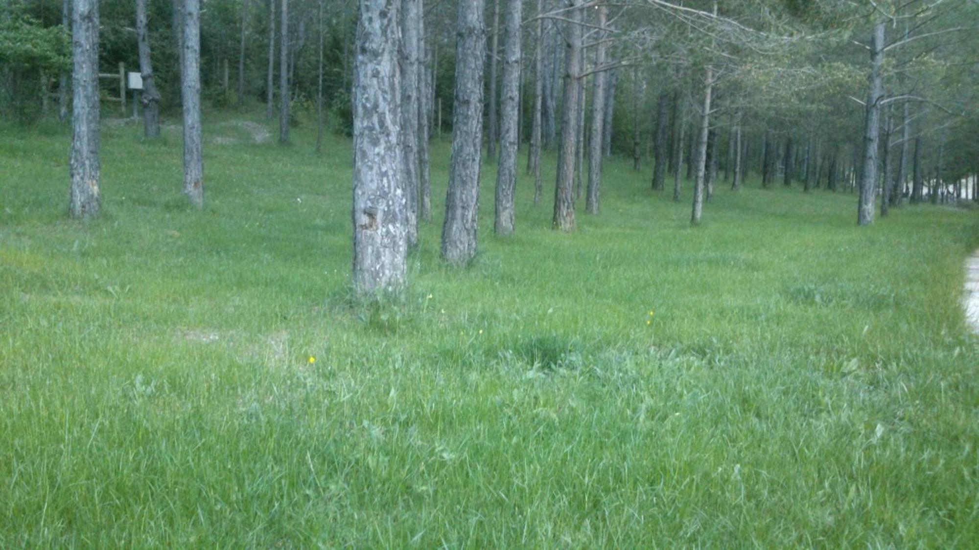 Camping L'Espelt Ла-Побла-да-Лільєт Екстер'єр фото